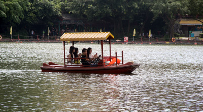 妖精网站免费观看家具福利