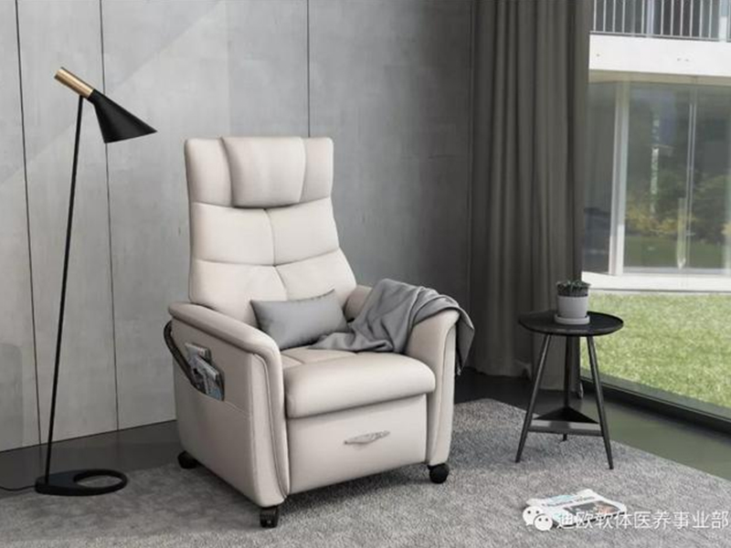 DL807養老院休閑椅子 DL807養老院休閑椅子