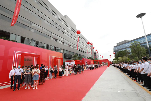 妖精网站免费观看家具