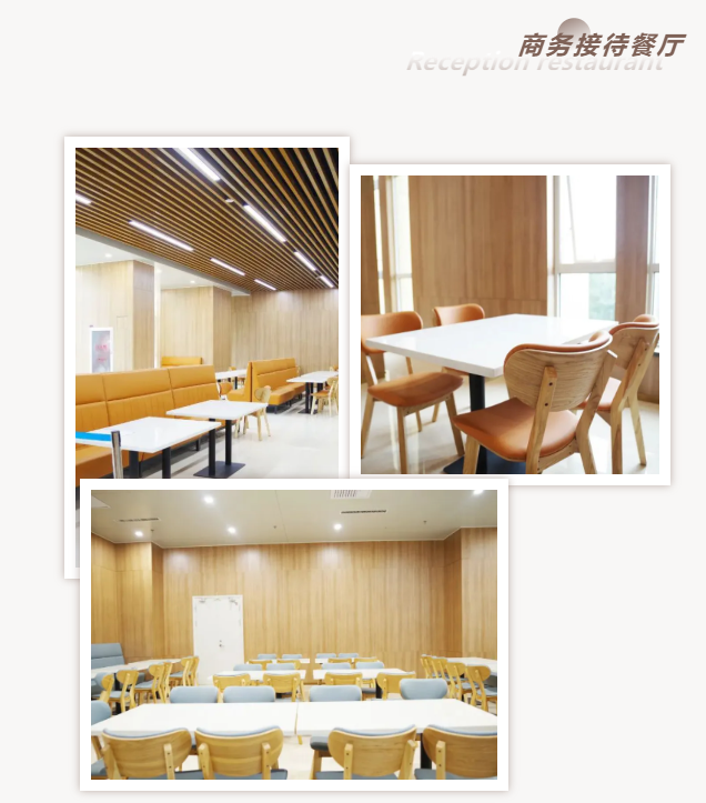 商務接待餐廳家具 商務接待餐廳家具